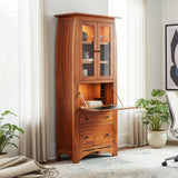 Aspen Laptop Secretary