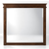 Gabby 6-Drawer Dresser Mirror