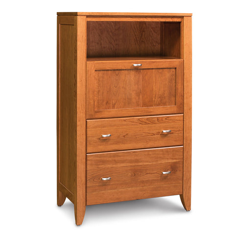 Justine Laptop Cabinet with File Drawer